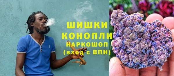 индика Абдулино