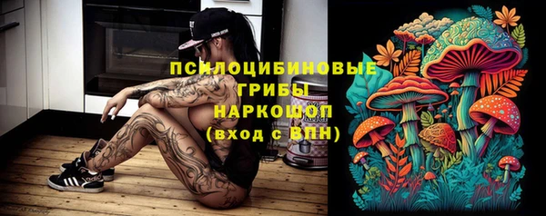 ГАЛЛЮЦИНОГЕННЫЕ ГРИБЫ Алексеевка