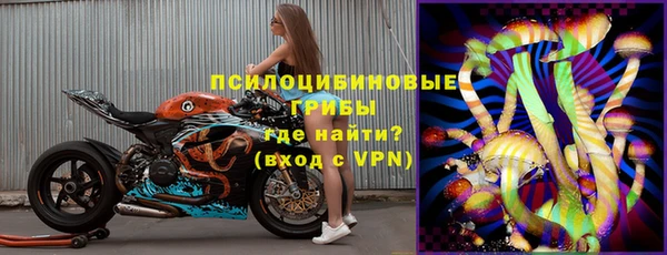 амф Алексин