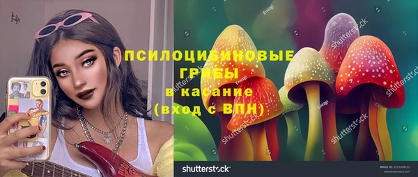 амф Алексин