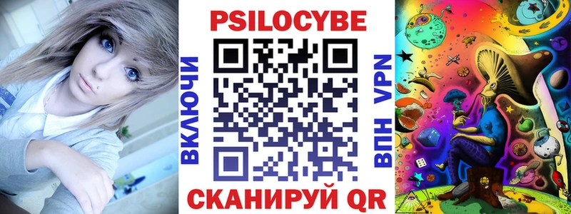 где можно купить наркотик  Аткарск  Галлюциногенные грибы Psilocybe 